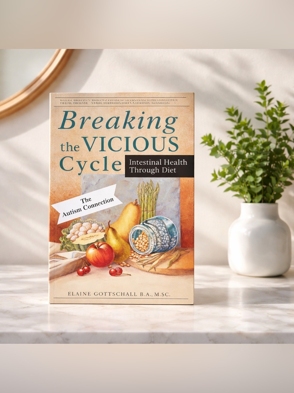 Breaking the Vicious Cycle Book
